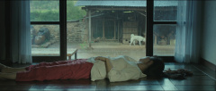 Little-Forest-2018-Stills-49