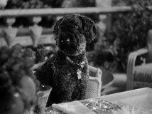 Midnight-1939-stills-36