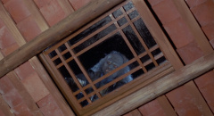 Mr-Vampire-1985-stills-52