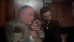 Murder-on-the-Orient-Express-1974-stills-35