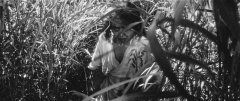 Onibaba-1964-stills-04