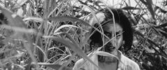 Onibaba-1964-stills-27