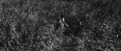 Onibaba-1964-stills-42