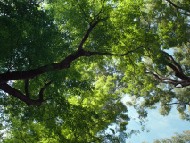 Perfect-Days-2023-stills-10