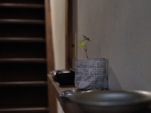 Perfect-Days-2023-stills-14