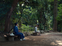 Perfect-Days-2023-stills-38