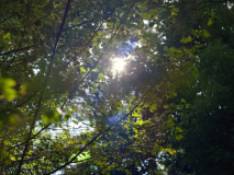 Perfect-Days-2023-stills-45