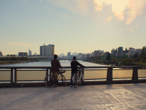 Perfect-Days-2023-stills-46