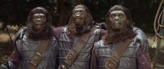 The-Planet-of-the-Apes-1968-stills-15