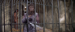 The-Planet-of-the-Apes-1968-stills-17