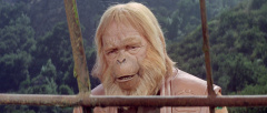 The-Planet-of-the-Apes-1968-stills-22