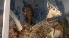 Predator-2-1990-stills-030