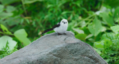 Pretty-Crazy-2025-stills-50