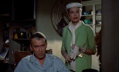 Rear-Window-1954-stills-28