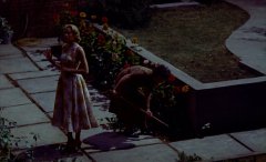 Rear-Window-1954-stills-46