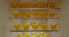 Rent-a-Cat-2012-stills-12