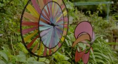 Rent-a-Cat-2012-stills-18