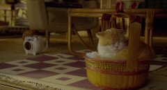 Rent-a-Cat-2012-stills-29