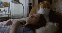 Rent-a-Cat-2012-stills-33