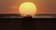 Rent-a-Cat-2012-stills-40