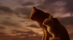 Rent-a-Cat-2012-stills-42