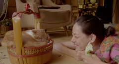 Rent-a-Cat-2012-stills-46