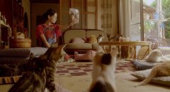 Rent-a-Cat-2012-stills-47