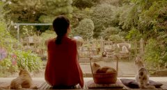 Rent-a-Cat-2012-stills-53