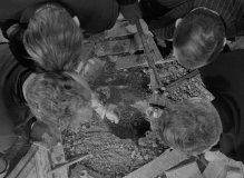 Rififi-1955-stills-22