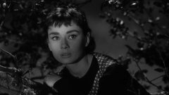 Sabrina-1954-stills-03