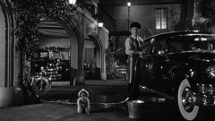 Sabrina-1954-stills-35