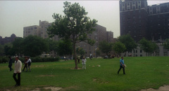 Serpico-1973-stills-33