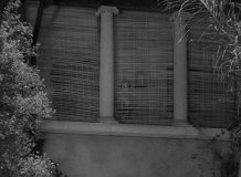 Sunset-Boulevard-1950-stills-08