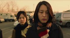 Take-Care-of-My-Cat-2001-0019