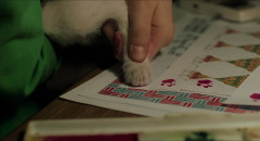 Take-Care-of-My-Cat-2001-0022