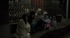 Take-Care-of-My-Cat-2001-0051