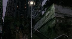 The-Cat-1992-stills-12