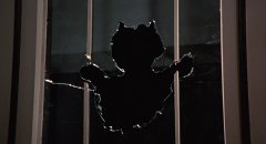 The-Cat-1992-stills-26