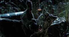 The-Cat-1992-stills-28