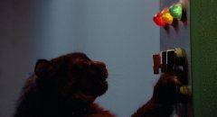 The-Cat-1992-stills-42