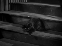 The-Cat-and-the-Canary-1939-stills-13