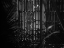 The-Cat-and-the-Canary-1939-stills-38