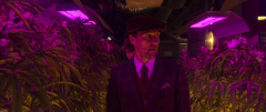 The-Gentlemen-2019-stills-12