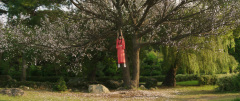 The-Handmaiden-2016-stills-31