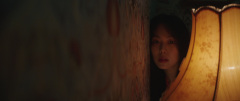 The-Handmaiden-2016-stills-38
