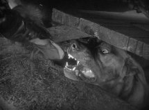 The-Hound-Of-The-Baskervilles-1939-stills-52