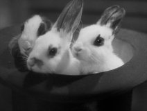 The-Lady-Vanishes-1938-stills-39