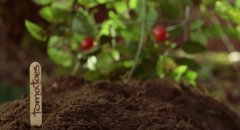 The-Last-Supper-1995-stills-11