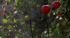 The-Last-Supper-1995-stills-29