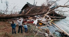 The-Mist-2007-stills-03